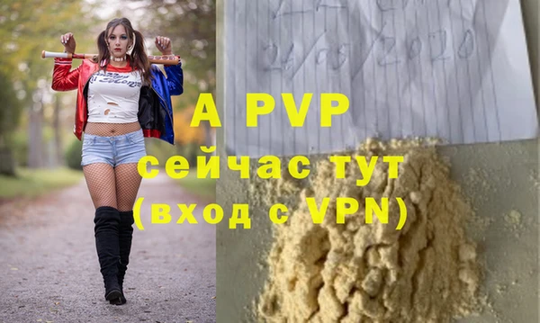 спайс Баксан
