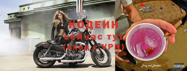 стафф Ростов