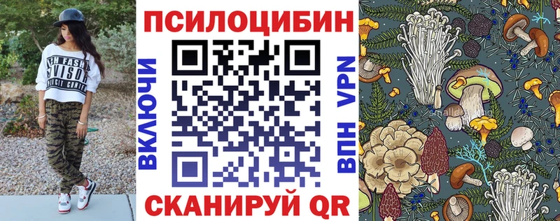 Псилоцибиновые грибы Cubensis  Обь 